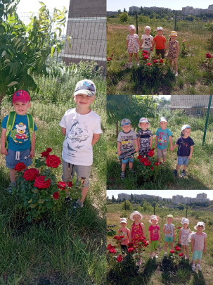 Международный день цветов Международный день цветов.